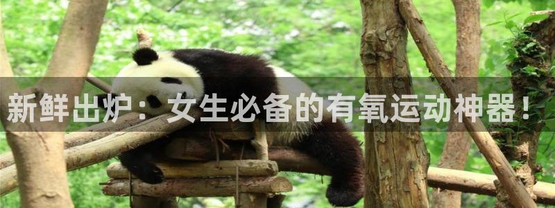 三亿体育官网下载招商:新鲜出炉:女生必备的有氧运动神器!