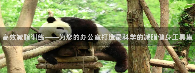 海南三亿体育官网下载发展怎么样:高效减脂训练——为您的办公室