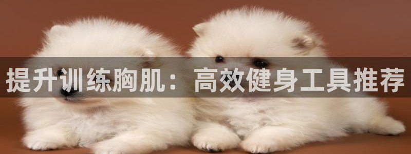 三亿体育官网下载招商电话号码查询是多少:提升训练胸肌:高效健