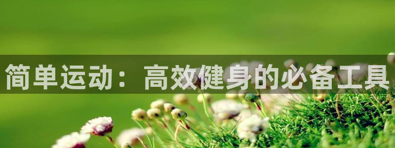 三亿体育官网下载平台注册:简单运动:高效健身的必备工具