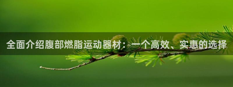 海南三亿体育官网下载:全面介绍腹部燃脂运动器材:一个高效、实